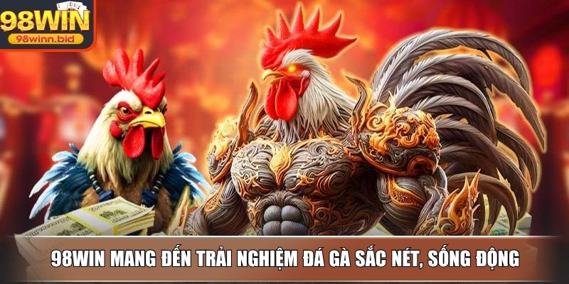 98WIN mang đến trải nghiệm đá gà sắc nét, sống động