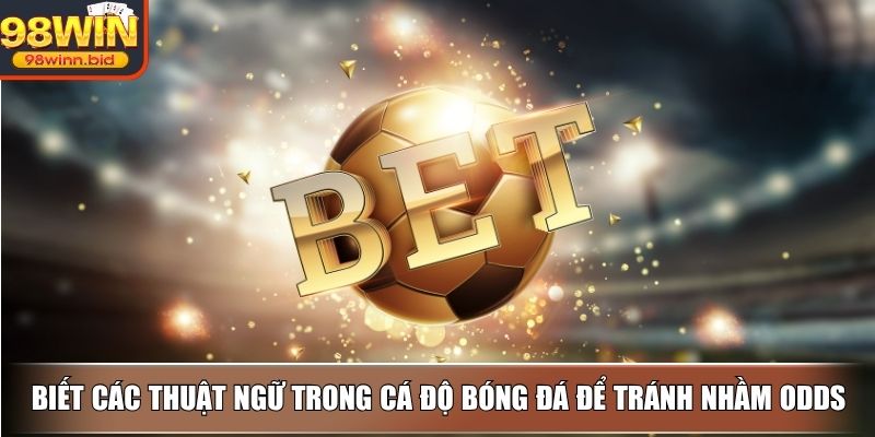 Biết các thuật ngữ trong cá độ bóng đá để tránh nhầm odds