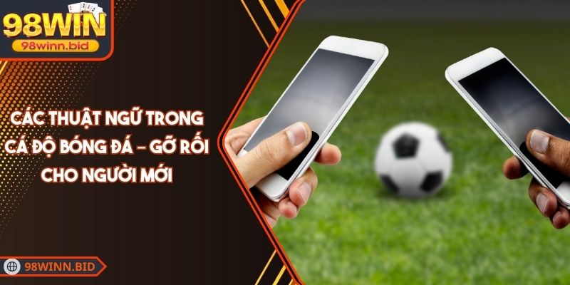 Các Thuật Ngữ Trong Cá Độ Bóng Đá – Gỡ Rối Cho Người Mới