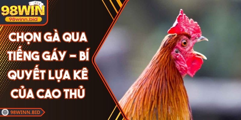 Chọn Gà Qua Tiếng Gáy - Bí Quyết Lựa Kê Của Cao Thủ
