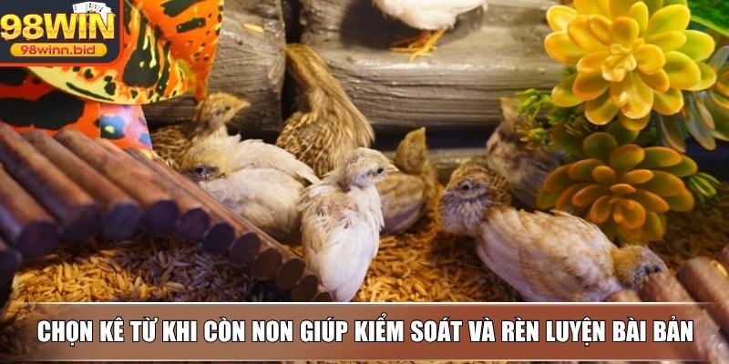 Chọn kê từ khi còn non giúp kiểm soát và rèn luyện bài bản
