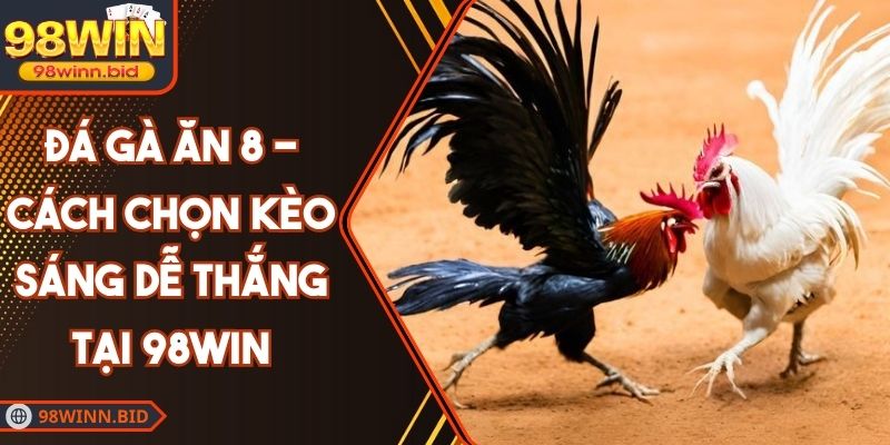 Đá Gà Ăn 8 - Cách Chọn Kèo Sáng Dễ Thắng Tại 98WIN