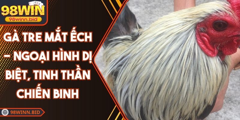 Gà Tre Mắt Ếch - Ngoại Hình Dị Biệt, Tinh Thần Chiến Binh