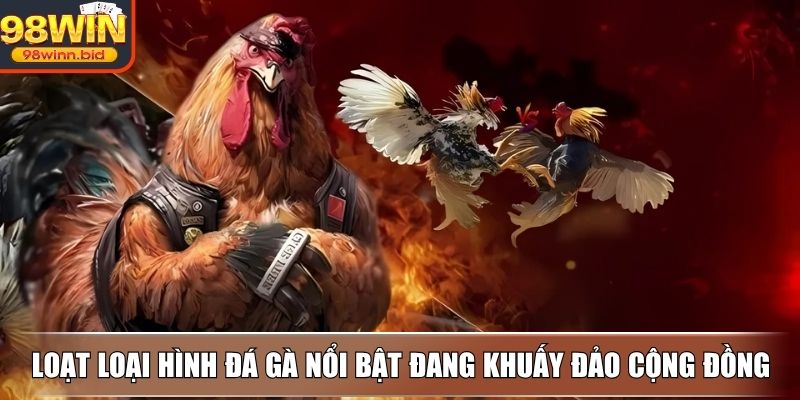 Loạt loại hình đá gà nổi bật đang khuấy đảo cộng đồng