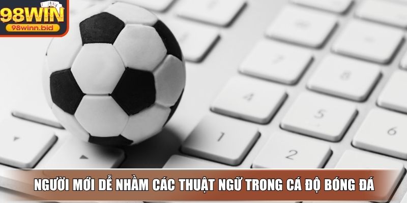 Người mới dễ nhầm các thuật ngữ trong cá độ bóng đá