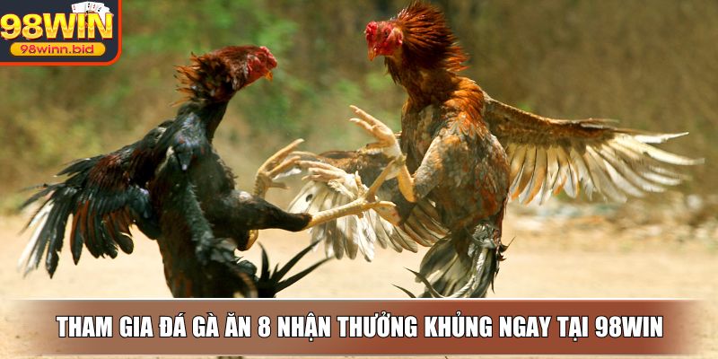 Tham gia đá gà ăn 8 nhận thưởng khủng ngay tại 98WIN