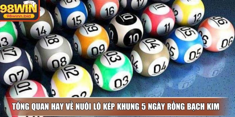 Tổng quan hay về nuôi lô kép khung 5 ngày Rồng Bạch Kim