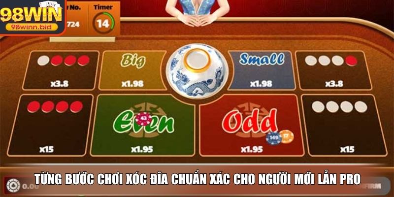 Từng bước chơi xóc đĩa chuẩn xác cho người mới lẫn pro
